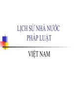 lịch sử nhà nước pháp luật việt nam 