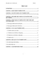 nguyên nhân, thực trạng, giải pháp ô nhiễm nước trên thế giới và việt nam 