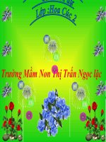 Bài giảng lớp lá chủ đề Ngôi nhà thân yêu của bé