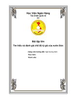 Tìm hiểu và đánh giá chế độ tỷ giá của nước đức 