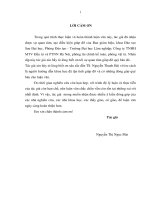 Giải pháp nâng cao năng lực tài chính cho công ty TNHH MTV đầu tư và PTNN hà nội  GVHD 