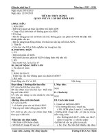 Giáo án sinh 9 t11 