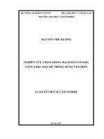 Nghiên cứu chọn giống bạch đàn có khả năng chịu mặn để trồng rừng ven biển