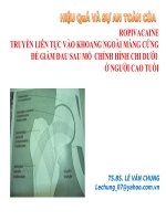 Hiệu Quả Và Sự An Toàn Của ROPIVACAINE Truyền Liên Tục Vào Khoang Ngoài Màng Cứng Để Giảm Đau Sau Mổ  Chỉnh Hình Chi Dưới Ở Người Cao Tuổi