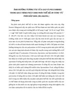 Ảnh hưởng tương tác của GA3 và polyamines trong quá trình phát sinh phôi thể hệ in vitro từ phôi bắp non  