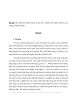 Phân tích thực trạng đào tạo và phát triển nguồn nhân lực tại công ty mua bán điện 