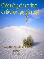 BÀI GIẢNG THỰC HÀNH MỔ TÔM SÔNG