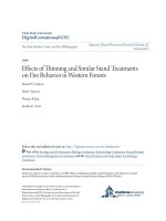 Effects of thinning and similar stand treatments on fire behavior