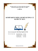 sơ đồ khái niệm sơ đồ xương cá sơ đồ tư duy 