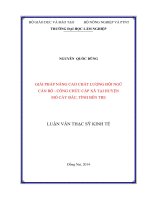 Giải pháp nâng cao chất lượng đội ngũ cán bộ   công chức cấp xã tại huyện mỏ cày bắc, tỉnh bến tre 