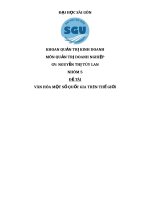 văn hóa một số quốc gia trên thế giới 