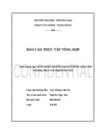 tình hình tài chính và kết quả hoạt động của ngân hàng thương mại cổ phần xăng dầu petrolimex chi nhánh hà nội  