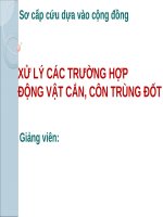 BÀI GIẢNG XỬ LÝ CÁC TRƯỜNG HỢP ĐỘNG VẬT CẮN, CÔN TRÙNG ĐỐT