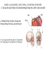 ĐẠI CƯƠNG BỆNH LÝ HỆ HÔ HẤP
