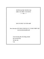 tình hình tài chính và kết quả hoạt động của ngân  hàng TMCP đầu tư và phát triển chi nhánh đông đô 