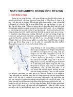 Ngăn ngừa khủng hoảng sông mêkong 