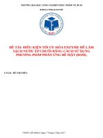 điều kiện tối ưu hóa enzyme để làm sạch nước ép chuối bằng cách sử dụng phương pháp phản ứng bề mặt (rsm)  