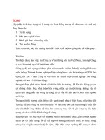 Thực trạng hoạt động đào tạo và phát triển tại công  ty viễn thông 