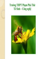 Bài Giảng Sinh Sản Hữu Tính Ở Thực Vật