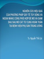 Nghiên Cứu Hiệu Quả Của Phương Pháp Gây Tê Tủy Sống Và Ngoài Màng Cứng Phối Hợp Để Mổ Và Giảm Đau Sau Mổ Cắt Tử Cung Hoàn Toàn Tại Bệnh Viện Phụ Sản Trung Ương