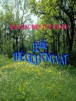 Bài giảng điện tử mầm non đề tài Trò chơi thế giới động vật (lớp Lá)