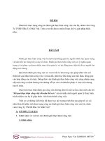 Phân tích thực trạng công tác đánh giá thực hiện công việc cán bộ, nhân viên công ty TNHH đầu tư nhất việt