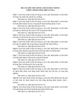 ON TAP THI CHUNG CHI LOP 6 THANG 