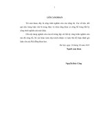 Giải pháp phát triển du lịch nông thôn tại huyện lục nam   tỉnh bắc giang 