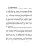 Một số giải pháp đưa cơ gới hoá nhằm nâng cao hiệu quả sản xuất lúa tại huyện mỹ đức,thành phố hà nội 