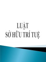 bài giảng luật sở hữu trí tuệ 