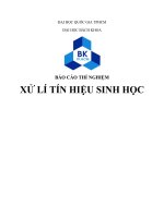 báo cáo thí nghiệm xử lí tín hiệu sinh học 