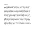 thúc đẩy sự phát triển quá trình sản xuất protease trong môi trường nuôi cấy liên tục đa giai đoạn 