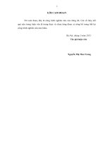 Giải pháp thu hút vốn đầu tư xây dựng cơ sở hạ tầng nông thôn trong chương trình xây dựng nông thôn mới trên địa bàn huyện quốc oai, thành phố hà nội 