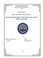 hải quan điện tử việt nam  hạn chế và những giải pháp 