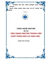 ứng dụng enzyme trong sản xuất phân hữu cơ sinh học 