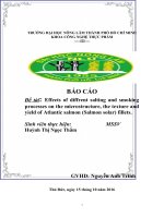 những ảnh hưởng khác nhau của quá trình ướp muối và xông khói đến cấu trúc vi mô, kết cấu và năng suất của cá hồi đại tây dương filets  