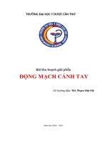 bài thu hoạch giải phẫu động mạch cánh tay 