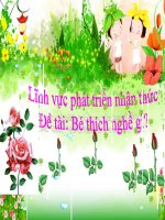 Bài giảng lớp Chồi chủ đề: Nghề nghiệp