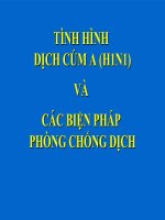 Tình Hình Dịch Cúm A (H1N1) Và Các Biện Pháp Phòng Chống Dịch