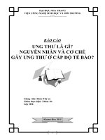 ung thư là gì nguyên nhân và cơ chế gây ung thư ở cấp độ tế bào 