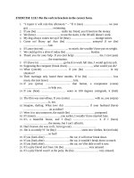 bai tap cau dieu kien anh 10 