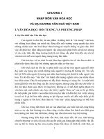 đại cương văn hóa việt nam 