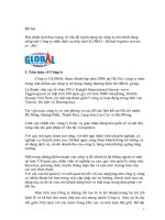 phân tích thực trạng về vấn đề tuyển dụng tại công ty GLOBAL 