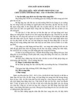 MỘT số BIỆN PHÁP NÂNG CAO chất lượng sinh hoạt đội ở trường tiểu học 