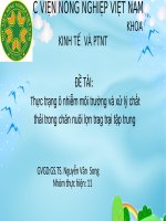 Thực trạng ô nhiễm môi trường và xử lý chất thải trong chăn nuôi lợn trang trại tập trung