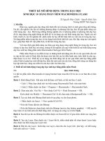 Thiết kế mô hình động TRONG DẠY HỌC  SINH HỌC 10  BẰNG PHẦN MỀM MACROMEDIA FLASH