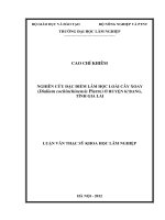 Nghiên cứu đặc điểm lâm học loài cây xoay (dialium cochinchinensis pierre) ở huyện kbang, tỉnh gia lai luận văn thạc sỹ khoa học lâm nghiệp 