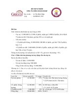 Bài tập phân tích tài chính doanh nghiệp (13) 