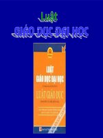 luật giáo dục đại học 
