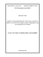 Nghiên cứu đặc điểm phân bố và khả năng tái sinh tự nhiên loài sến mật (madhuca pasquieri (dubard) h j lam) tại vườn quốc gia tam đảo 